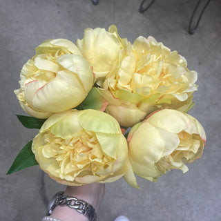 Peony Bundle Light Yellow 10"