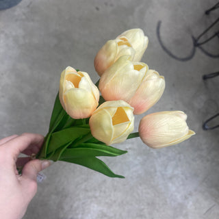 Fresh Touch Tulip Stem Bundle (x7) Coral/Yellow 12"