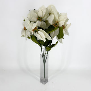 Velvet Poinsettia White Bush x7