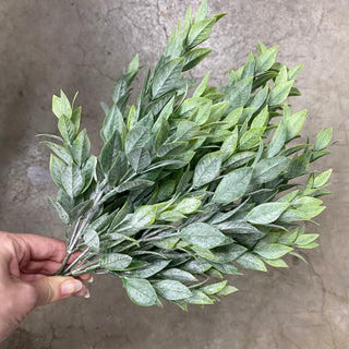 Myrtle Bush Green 15"