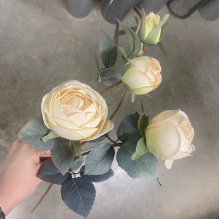 Rose Spray Beige 28"