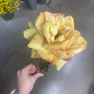 Dried Open Rose Stem Yellow
