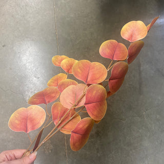 Eucalyptus Spray Orange 32.5"