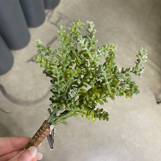 Succulent Pick Grey-Green 7''