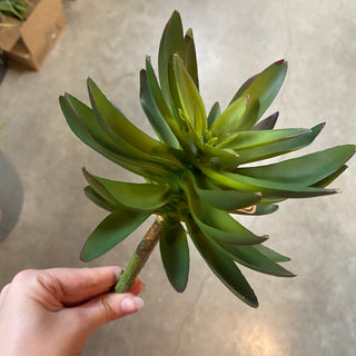 Succulent Pick Green 9"