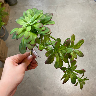 Succulent Pick Green 12''