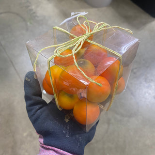 Assorted Oranges (Box/16)