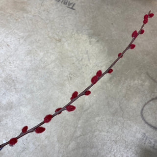 Pussy Willow Spray Burgundy 39"