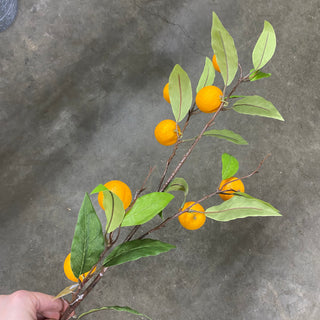 Orange Branch 38"
