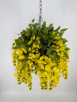 Wisteria Yellow Hanging Basket