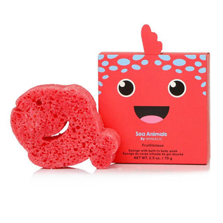 Sea Animal Sponge Fiona Fish