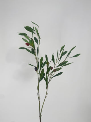 Soft Touch Olive Spray 40"