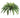 Boston Fern Bush 25"