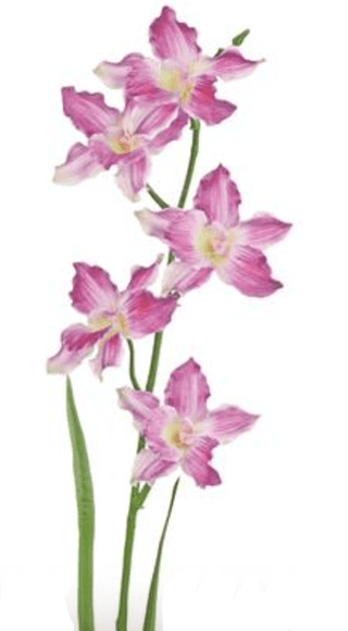 Cattleya Orchid Spray Beauty 28"