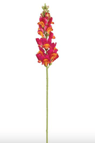 Snapdragon Spray Beauty 31"