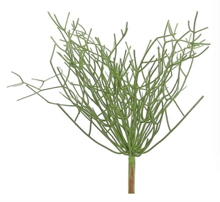 UV Pencil Cactus Plant 16"