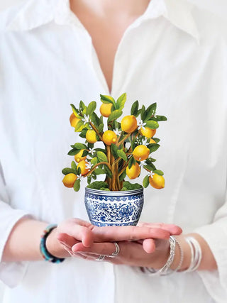 Mini Lemon Tree Pop-Up Greeting Card