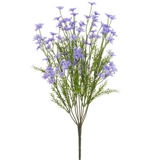 Forget-Me-Not Bush Lavender 18"