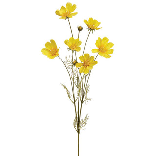 Cosmos Spray Yellow 36"
