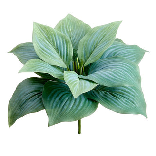 Hosta Leaf Bush Green 7"