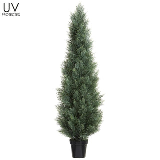 UV Cedar Topiary In Pot Grey-Green 72"