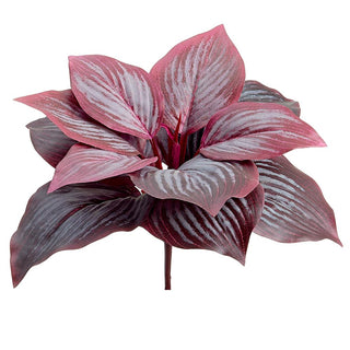 Hosta Leaf Bush Burgundy 7"