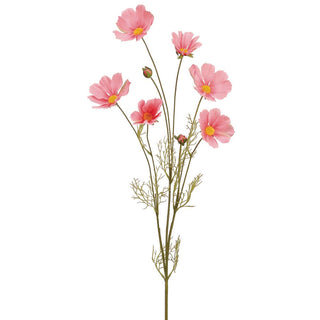 Cosmos Spray Pink 31.5"