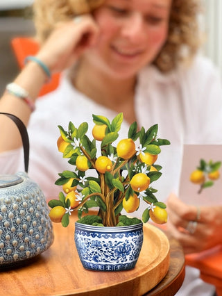 Mini Lemon Tree Pop-Up Greeting Card