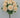 Dahlia Bush Peach 19" - Evergreen Home and Floral