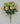 Dahlia Bush Pink 19" - Evergreen Home and Floral