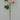 Dahlia Spray Pink 24" - Evergreen Home and Floral