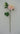 Dahlia Spray Pink 24" - Evergreen Home and Floral
