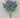 Delphinium Bush Purple 24" - Evergreen Home and Floral
