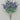 Delphinium Bush Purple 24" - Evergreen Home and Floral