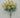 Delphinium Bush Yellow 24" - Evergreen Home and Floral