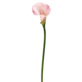 Calla Lily Stem Pink 21"