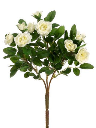 Mini Rose Bush Cream 10"