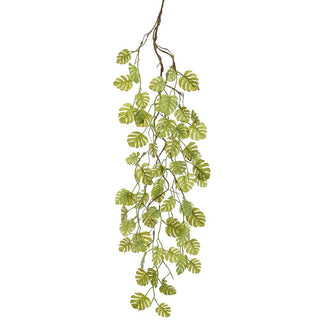 Mini Monstera Hanging Vine 38"