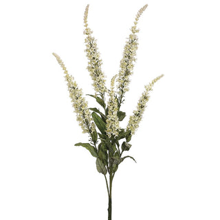 Buddleia Bush Cream 28"