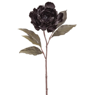 Black Peony Stem 18.5"