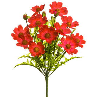 Cosmos Bush Beauty 18"