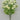 Mini Ranunculus Bush Cream 16" - Evergreen Home and Floral
