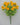 Mini Ranunculus Bush Yellow 16" - Evergreen Home and Floral