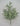 Plastic Leaves Bush 21" - Evergreen Home and Floral