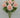 Rose Bush Pink 23" - Evergreen Home and Floral