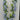 Wisteria Garland Blue 6' - Evergreen Home and Floral